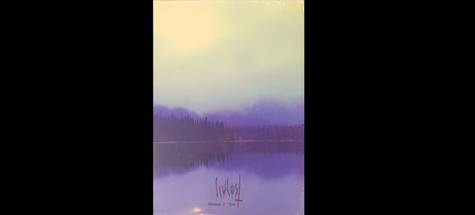 Livløst "Symphony of Flies" A5 Digipack CD - Black Metal, Ambient from Norway