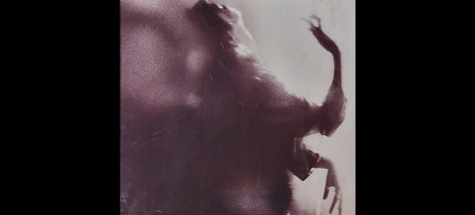 Trist / Lonesummer Split CD - Trist - Depressive Black Metal, Ambient / Lonesummer - Raw Black Metal/Noise, Shoegaze/Ambient